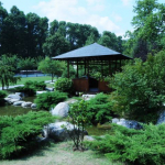 Baltalimanı Japon Bahçesi